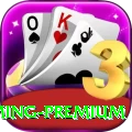 t20 Gaming Premium